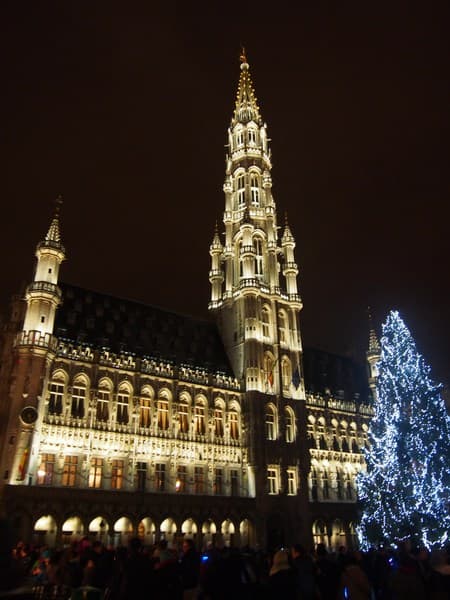 ブリュッセル市庁舎の夜景3