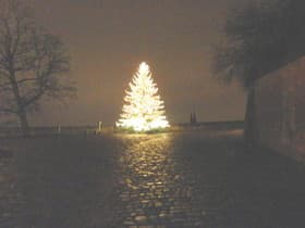クリスマスツリー