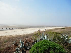 海側の遠くに杭が見えます。