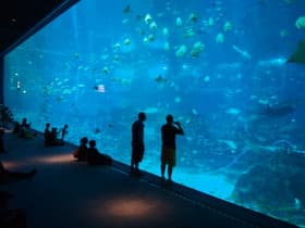 シー・アクアリウム大水槽