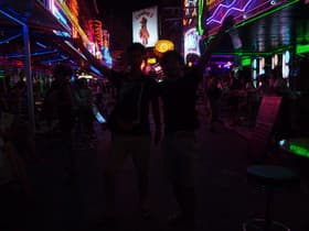 夜は昼以上に騒がしい