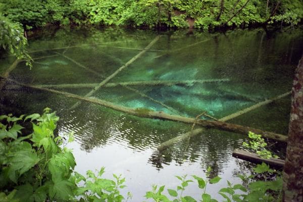 底が綺麗に見える　神の子池