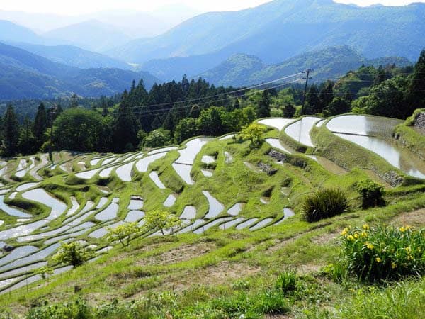 丸山千枚田