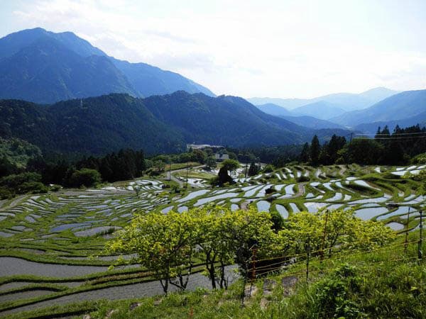 丸山千枚田