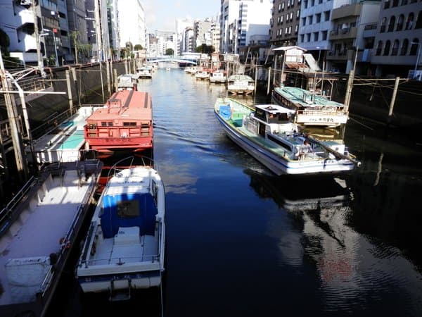 神田川沿い