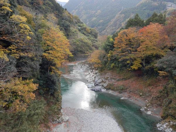 水が綺麗