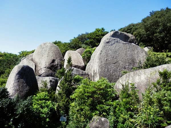 唐人石の山側