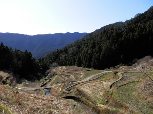 樫原の棚田