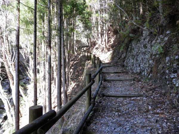 整備された遊歩道