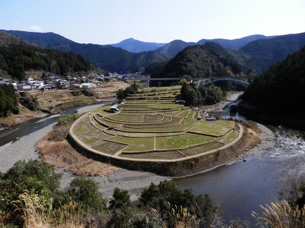 あらぎ島全景