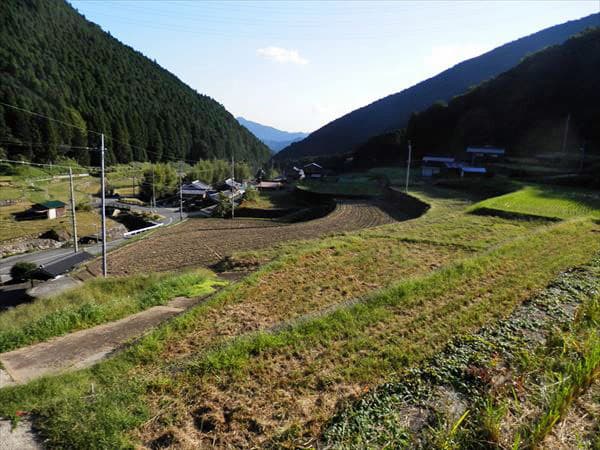 岩座神の棚田西