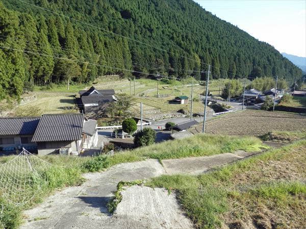 岩座神の棚田東