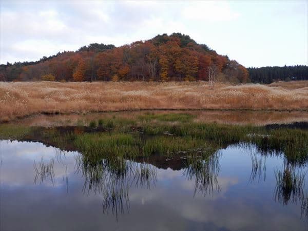 池の周辺