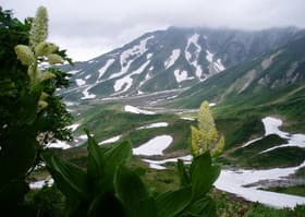 富山県　立山黒部ｱﾙﾍﾟﾝﾙｰﾄ