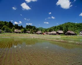 新潟県　荻ノ島かやぶきの里