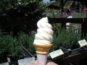 ソフトクリーム　ゲット