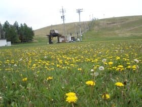 スキー場