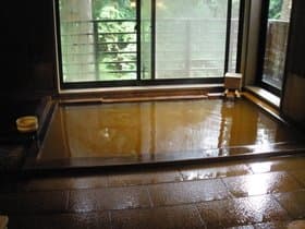 毒沢鉱泉　神の湯3