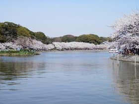 明石公園　剛ノ池
