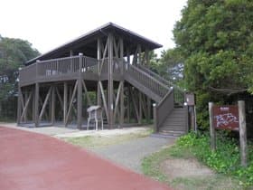 展望台建物