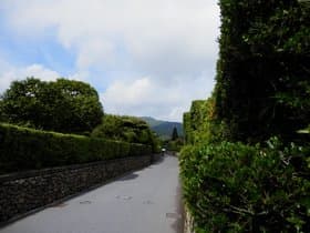 武家屋敷群の通り