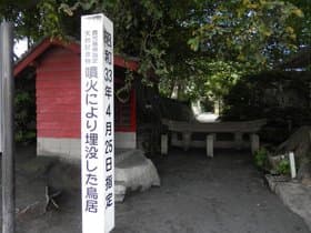埋没鳥居2