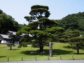 庭園内