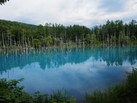 北海道 青い池