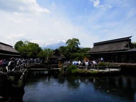 忍野八海メイン