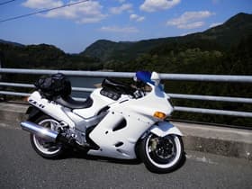欄干が変わっています