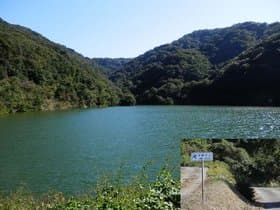 ダム