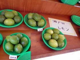 レモンの販売