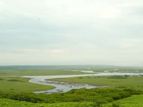 霧多布湿原2