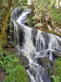 山口県 道永の滝