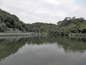 山口県 明神池