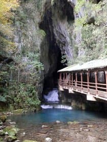 山口県 秋芳洞