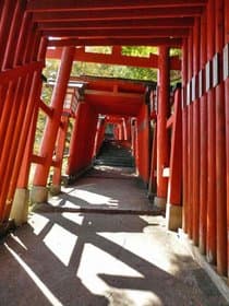 赤い鳥居がずらりと上まで