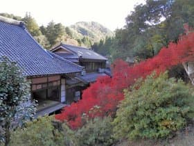寺の裏です