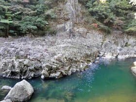 遊歩道の横を流れる川