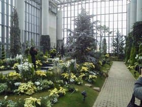 温室内の植物2