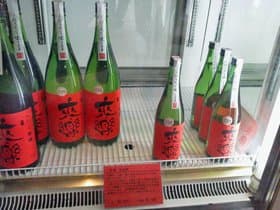 しぼりたて生酒
