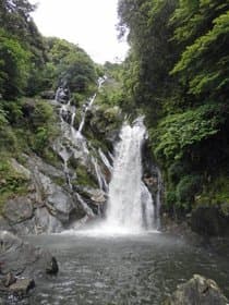 一番前から