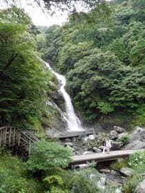 2つの橋が見えます