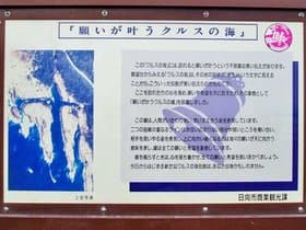 説明看板