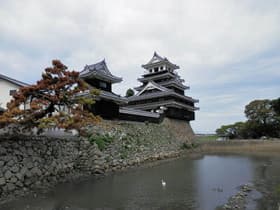 外から見た中津城