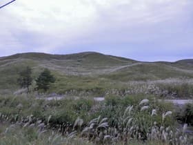 県道679号線の景色