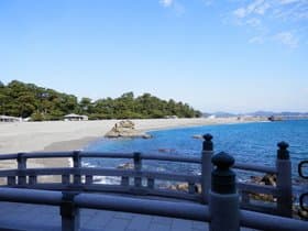 桂浜