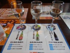 飲み比べセット