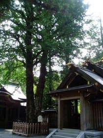 高千穂天岩戸神社境内