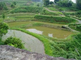 橋上からの景色